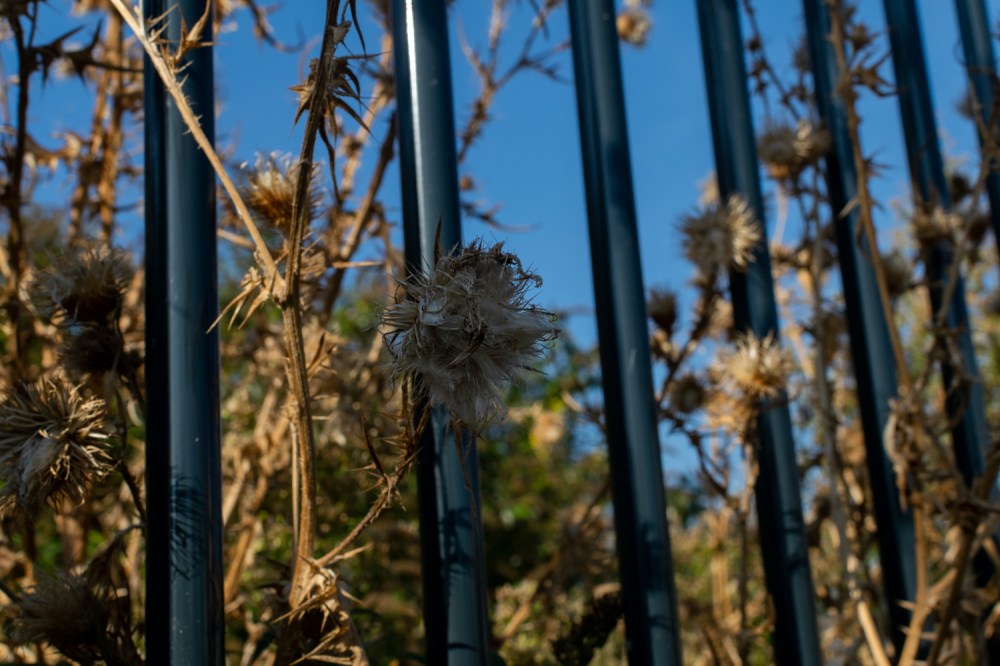 014_20181009_gs_cm2_088